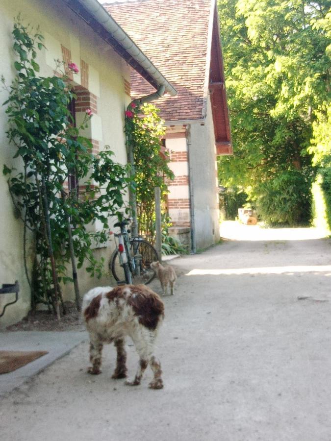 Cottages Et B&B De Troussay Cheverny Exterior photo